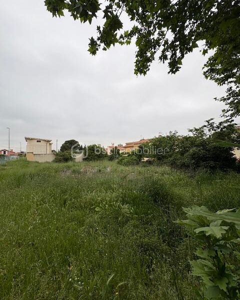 Terrain à vendre à Millas — Vue nature — photo 1
