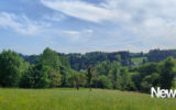Superbe terrain de 5.000 m² à Tulle – NR pièces – NR chambres – 5060 m²