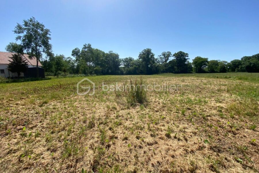 Terrain à vendre à Neuville sur brenne