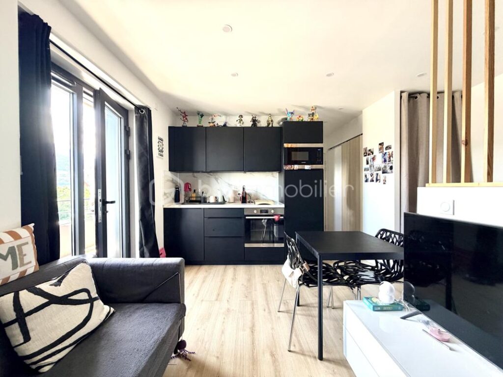 Studio avec cave et 2 places de stationnement entièrement rénové à Saint-Martin-Bellevue – 1 pièce – NR chambres – 24 m²