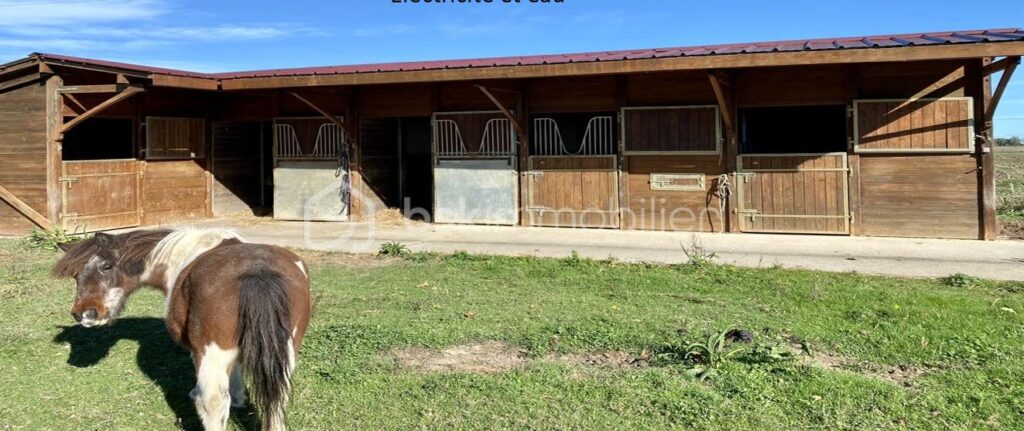 Charmante maison avec piscine, box à chevaux et vue Pyrénées – 9 pièces – 6 chambres – 269 m²