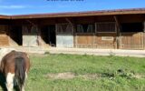 Charmante maison avec piscine, box à chevaux et vue Pyrénées – 9 pièces – 6 chambres – 269 m²