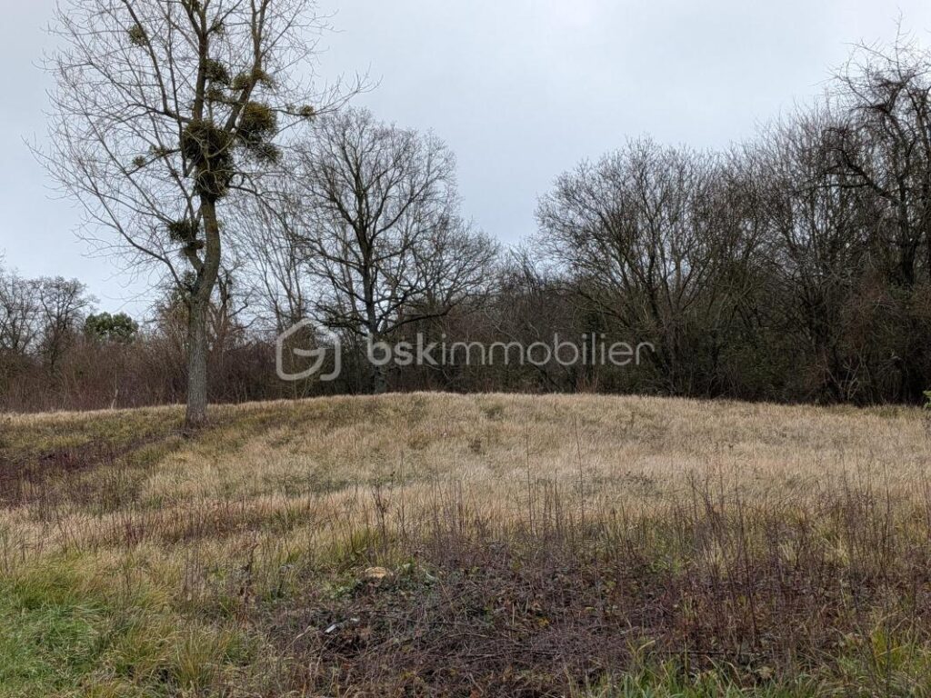 Terrain constructible à Champillon – NR pièces – NR chambres – 1043 m²