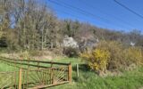 Terrain à vendre à Coteaux sur loire