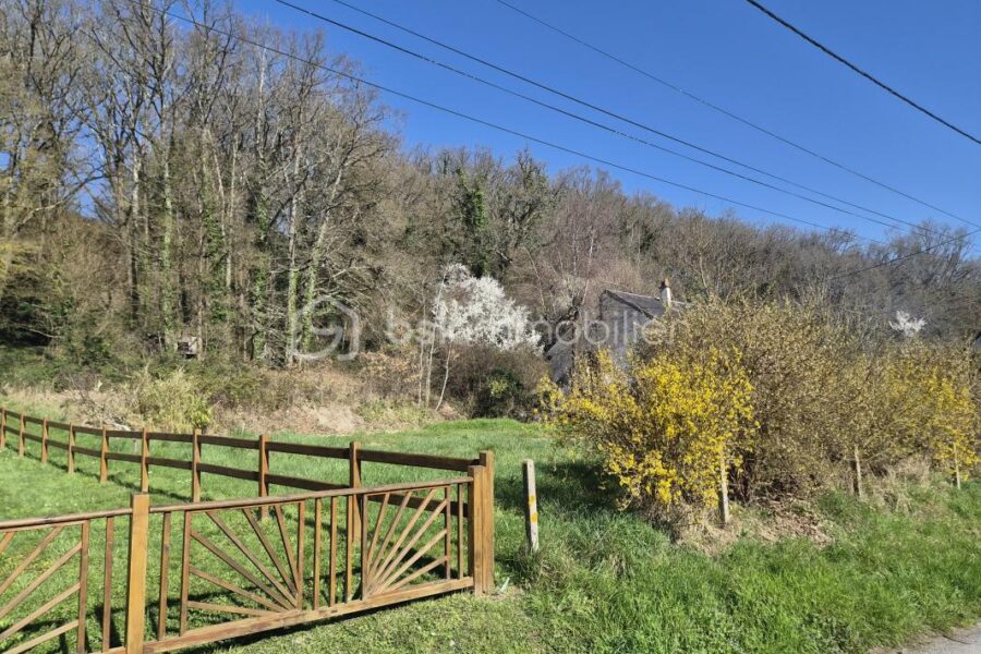 Terrain à vendre à Coteaux sur loire