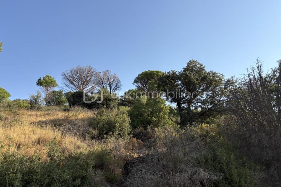 Terrain à vendre à Estagel — Vue nature — photo 4