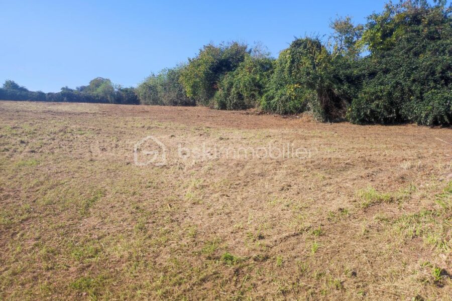 Terrain à vendre à Champlost