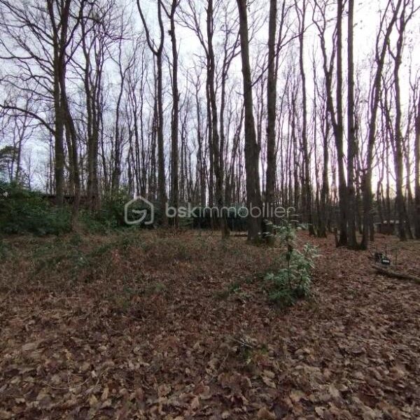 Terrain à vendre à Saint firmin des bois