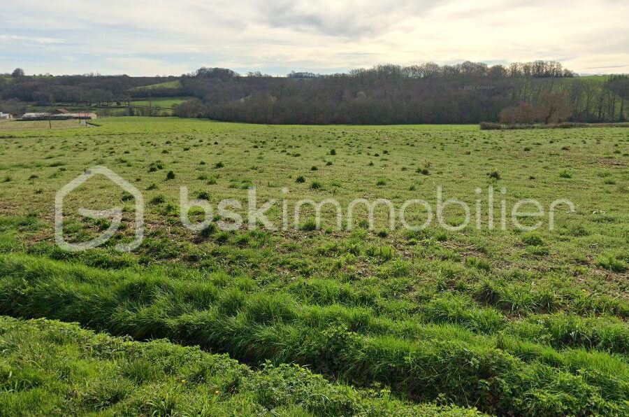 Terrain à vendre à Lucarre
