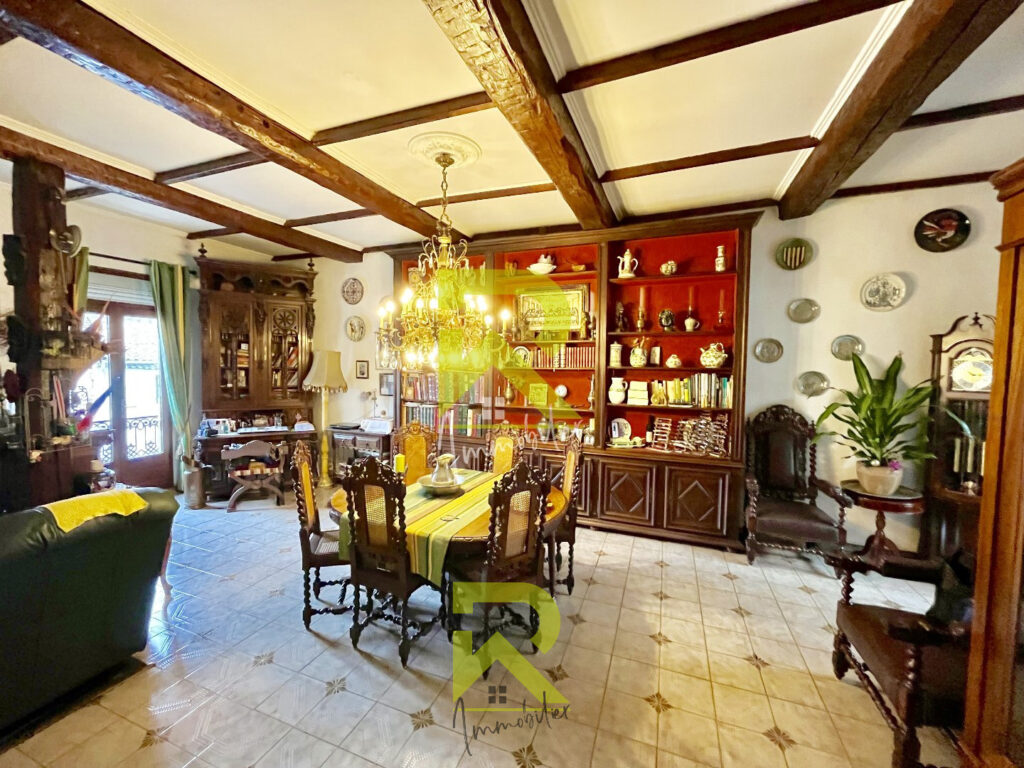 Charmant ensemble immobilier – Pézenas – 11 pièces – NR chambres – 250 m²