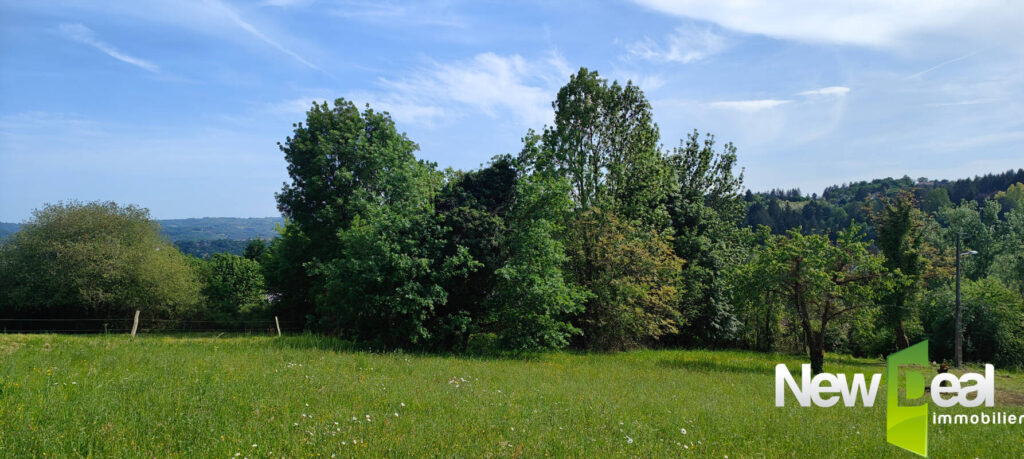 Superbe terrain de 2.500 m² à Tulle – NR pièces – NR chambres – 2500 m²