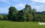 Superbe terrain de 5.000 m² à Tulle – NR pièces – NR chambres – 5060 m²