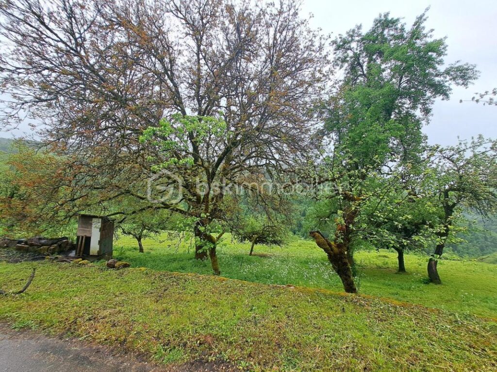 Authentique ferme jurassienne de 1859 – 25 hectares – vue dégagée – proche Suisse – 5 pièces – 3 chambres – 300 m²