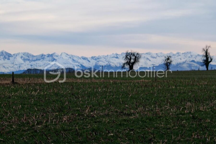 Terrain à vendre à Saubole