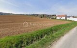 Terrain à vendre à Epernay — Vue nature — photo 3