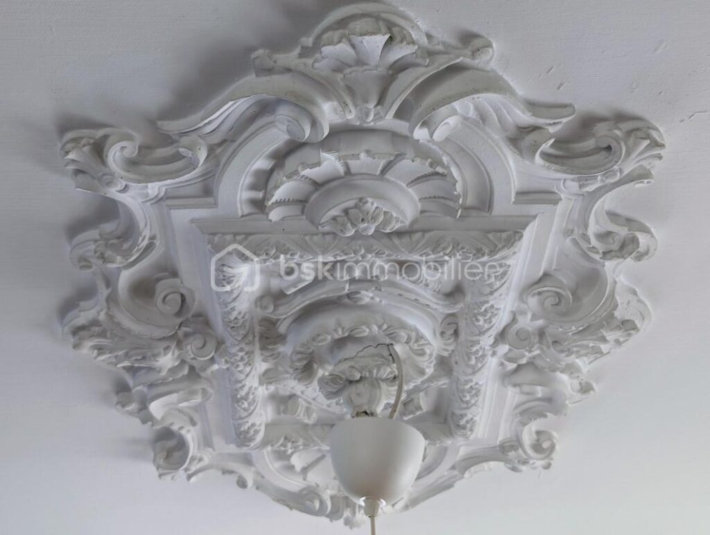MAISON DE MAITRE RENOVEE – BORDS DE LOIRE – 7 pièces – 5 chambres – 198 m²