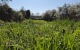 Terrain à vendre à Coteaux sur loire