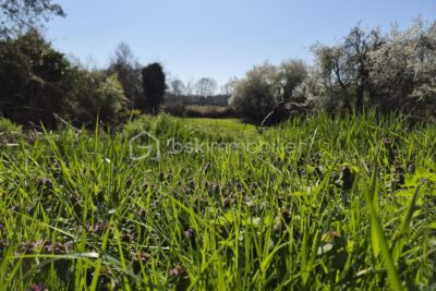 Terrain à vendre à Coteaux sur loire