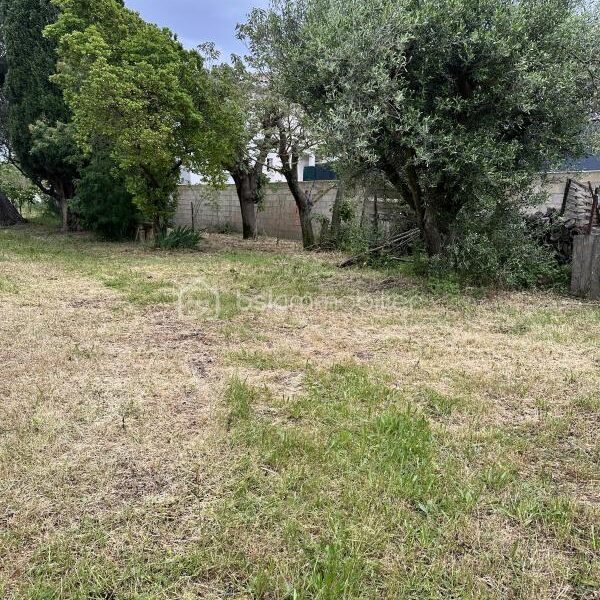 Terrain à vendre à Aimargues