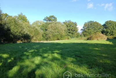Terrain à vendre à Commer