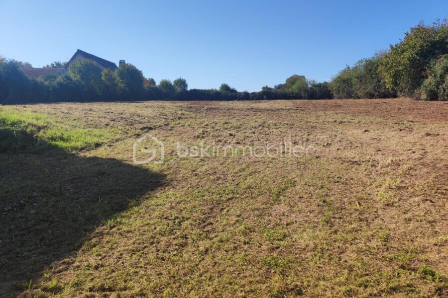 Terrain à vendre à Champlost