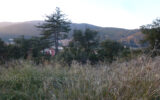 Terrain à vendre à Amélie-les-bains-palalda