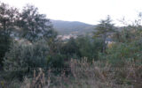 Terrain à vendre à Amélie-les-bains-palalda