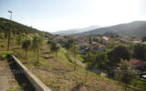 Terrain à vendre à Amélie-les-bains-palalda