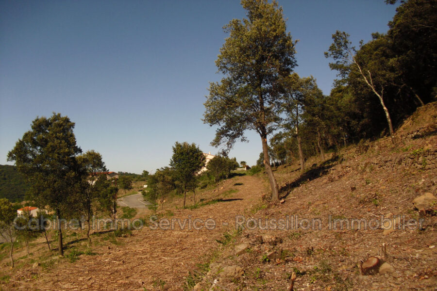 Terrain à vendre à Amélie-les-bains-palalda