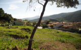 Terrain à vendre à Amélie-les-bains-palalda