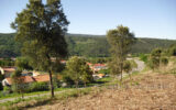 Terrain à vendre à Amélie-les-bains-palalda