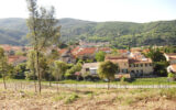 Terrain à vendre à Amélie-les-bains-palalda