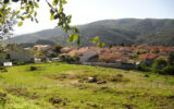 Terrain à vendre à Amélie-les-bains-palalda