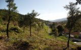 Terrain à vendre à Amélie-les-bains-palalda