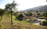Terrain à vendre à Amélie-les-bains-palalda