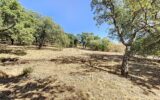 Terrain à vendre à Grimaud
