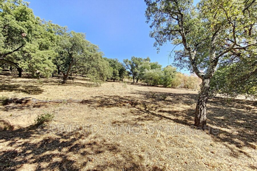 Terrain à vendre à Grimaud