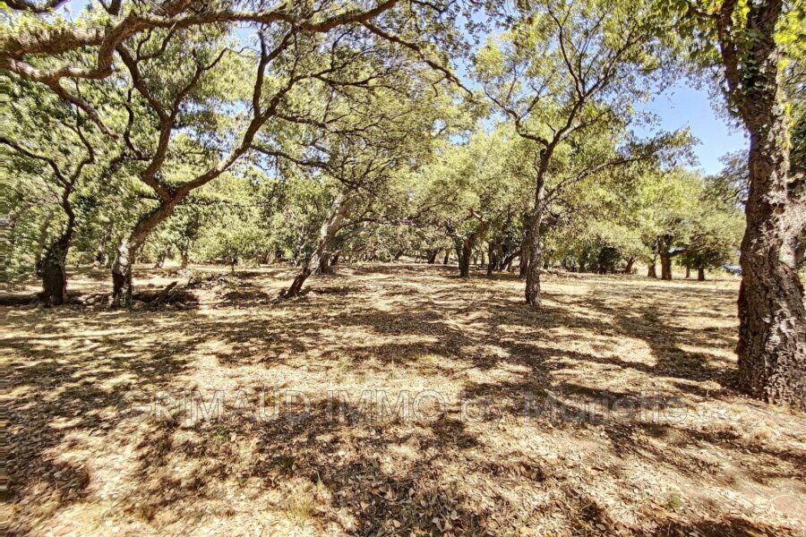 Terrain à vendre à Grimaud