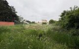 Terrain à vendre à Millas — Vue nature — photo 6