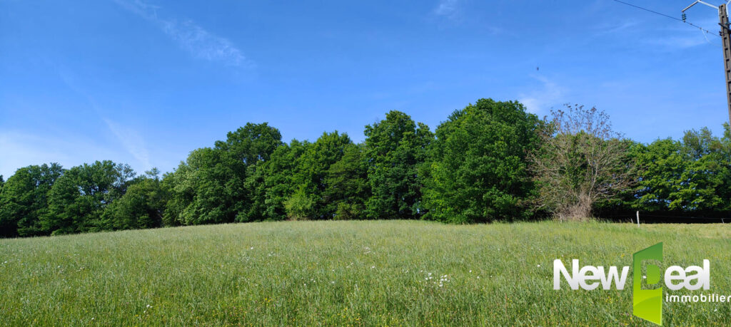Superbe terrain de 2.500 m² à Tulle – NR pièces – NR chambres – 2500 m²