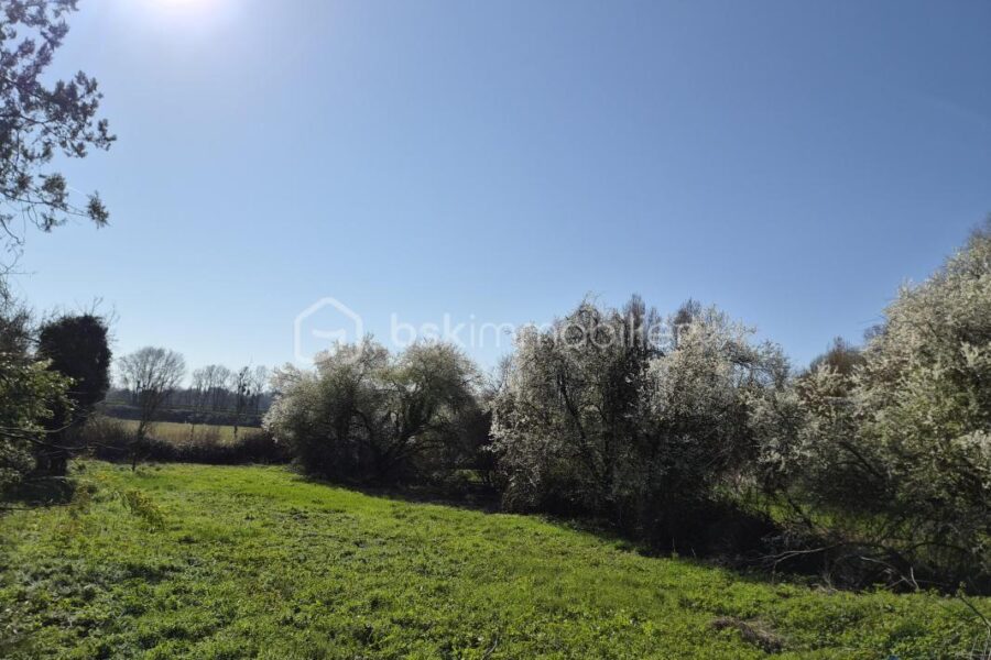 Terrain à vendre à Coteaux sur loire