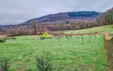 Terrain à vendre à Saint sulpice le gueretois — Vue nature — photo 1