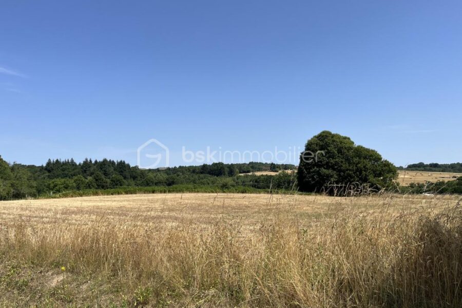Terrain à vendre à Jumilhac le grand