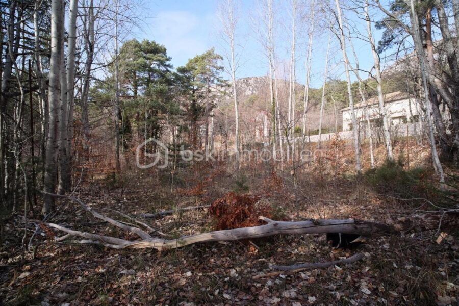 Terrain à vendre à Andon