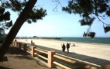 Appartement à louer à Arcachon