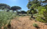Terrain à vendre à Sainte-maxime