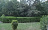 Appartement à vendre à Montélimar — Vue parc & jardin — photo 1