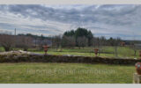 Maison à vendre à Clergoux — Vue nature — photo 19