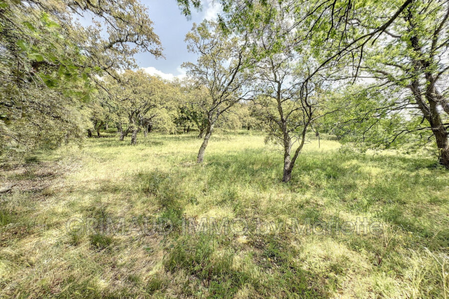 Terrain à vendre à Grimaud
