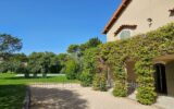 Maison à louer à Eygalières — Vue nature — photo 5